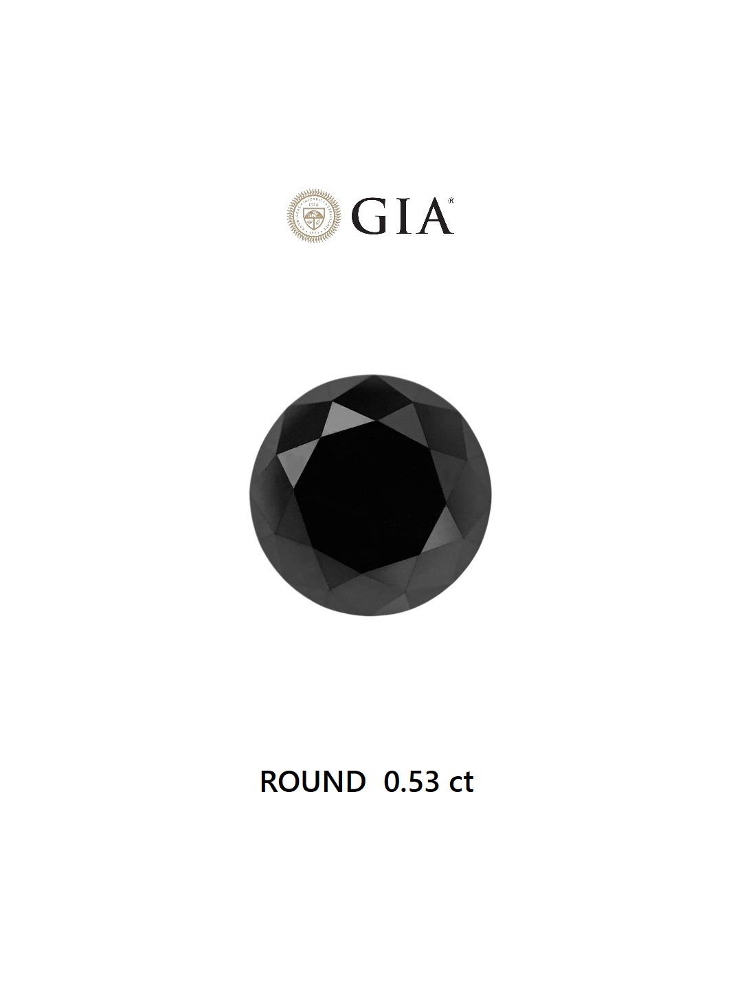 GIA 0.53 Carat Natural Fancy Black Round Diamond SE-6640GN
