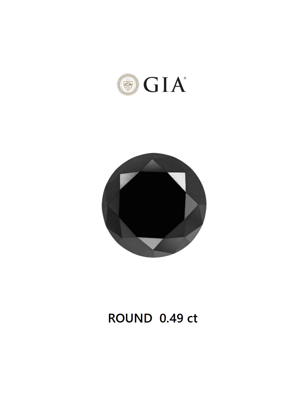 GIA 0.49 Carat Natural Fancy Black Round Diamond SE-6642GN