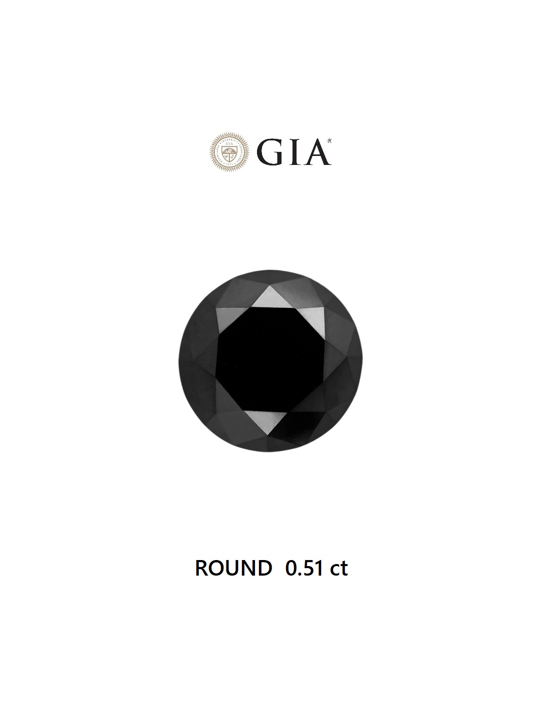 GIA 0.51 Carat Natural Fancy Black Round Diamond SE-6643GN