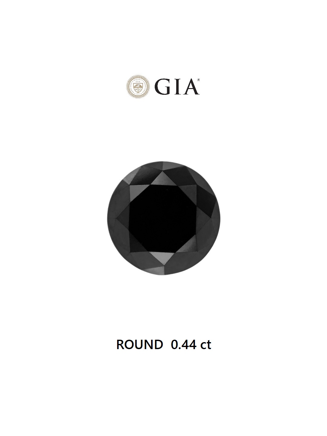 GIA 0.44 Carat Natural Fancy Black Round Diamond SE-6646GN