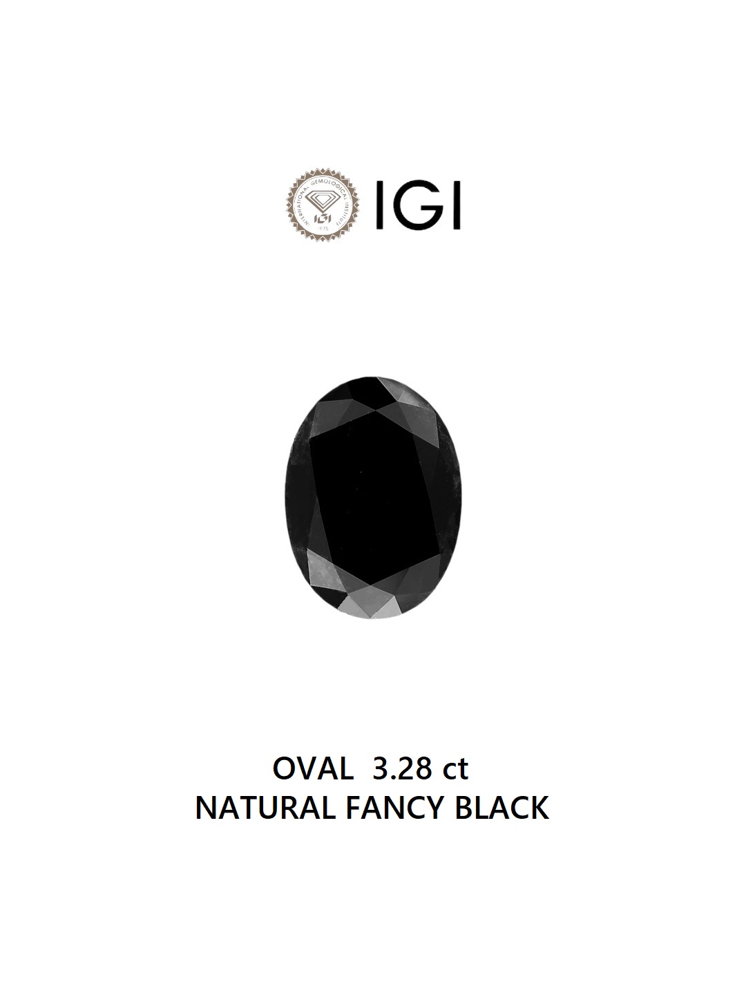 IGI 3.28 Carat Natural Fancy Black Oval Diamond SE-6653IN