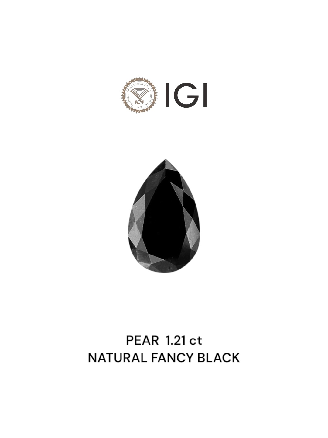 IGI 1.21 Carat Natural Fancy Black Pear Diamond SE-6665IN