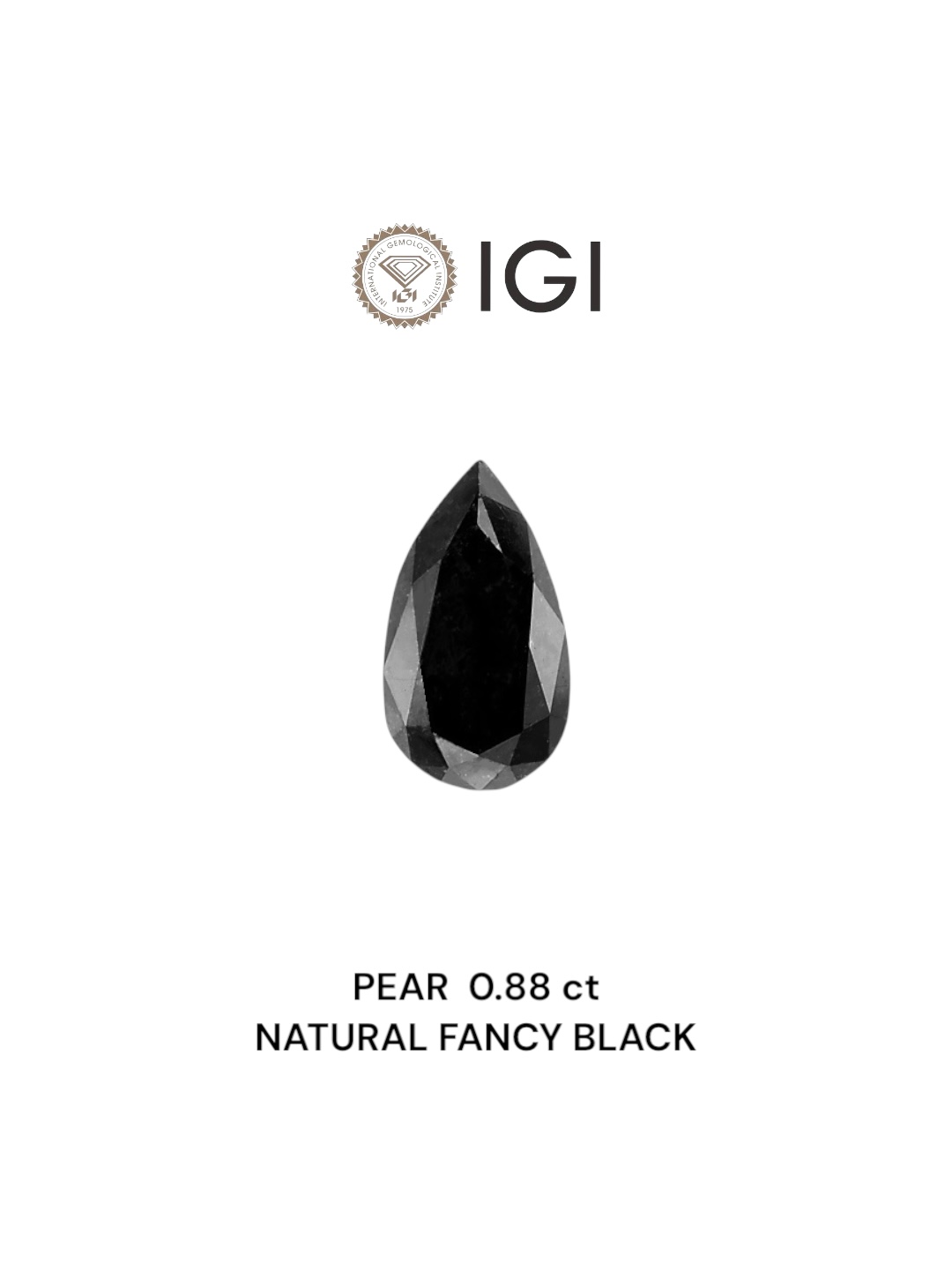 IGI 0.88 Carat Natural Fancy Black Pear Diamond SE-6668IN
