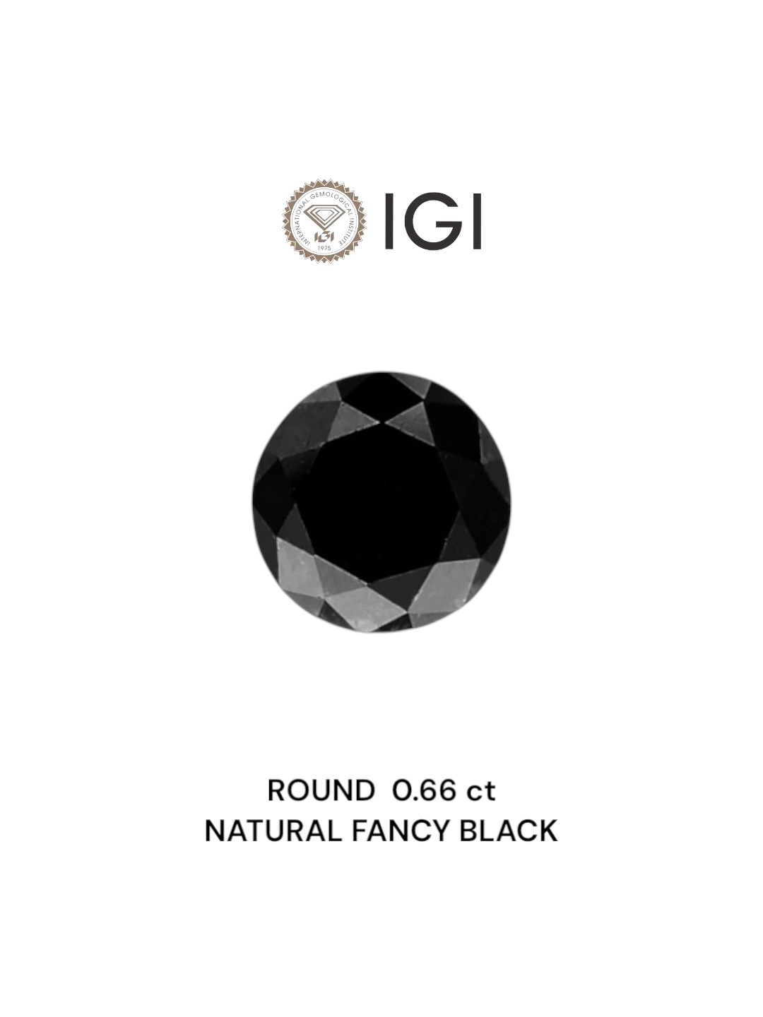 IGI 0.66 Carat Natural Fancy Black Round Diamond SE-6706IN