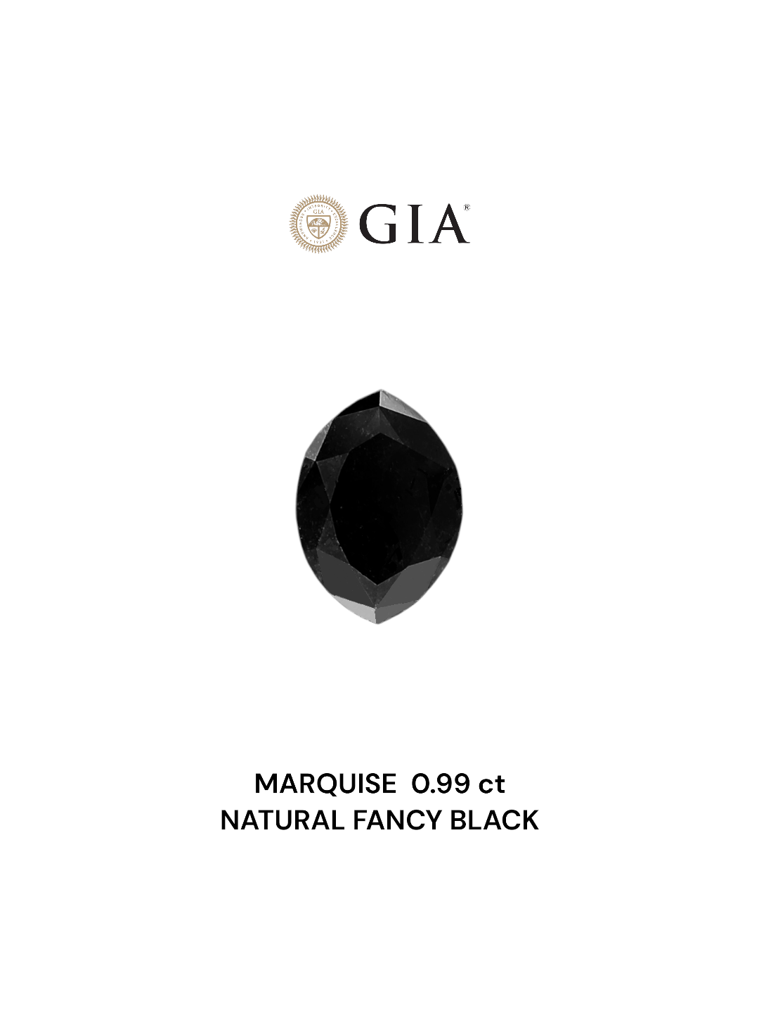 GIA 0.99 Carat Natural Fancy Black Marquise Diamond SE-6714GN