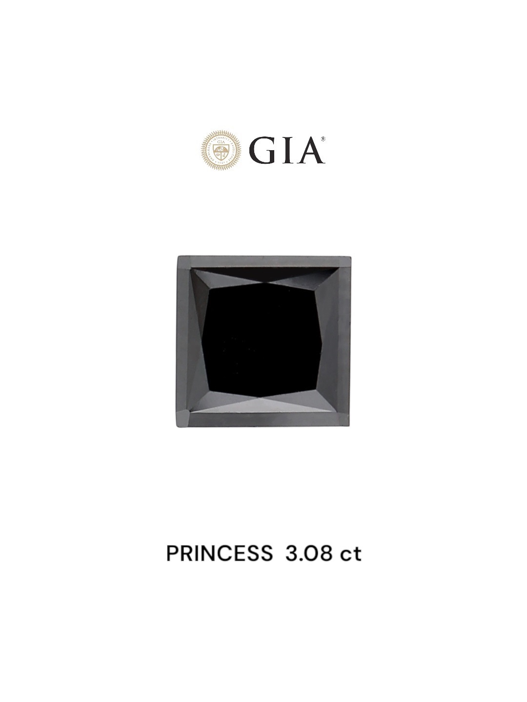 GIA 3.08 Carat Natural Fancy Black Princess Diamond SE-6723TG