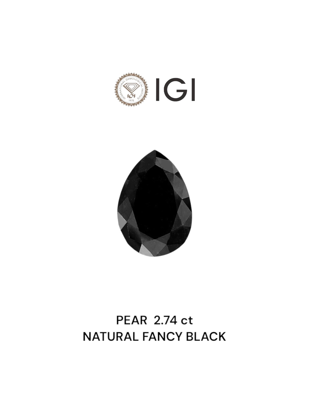 IGI 2.74 Carat Natural Fancy Black Pear Diamond SE-6746IN