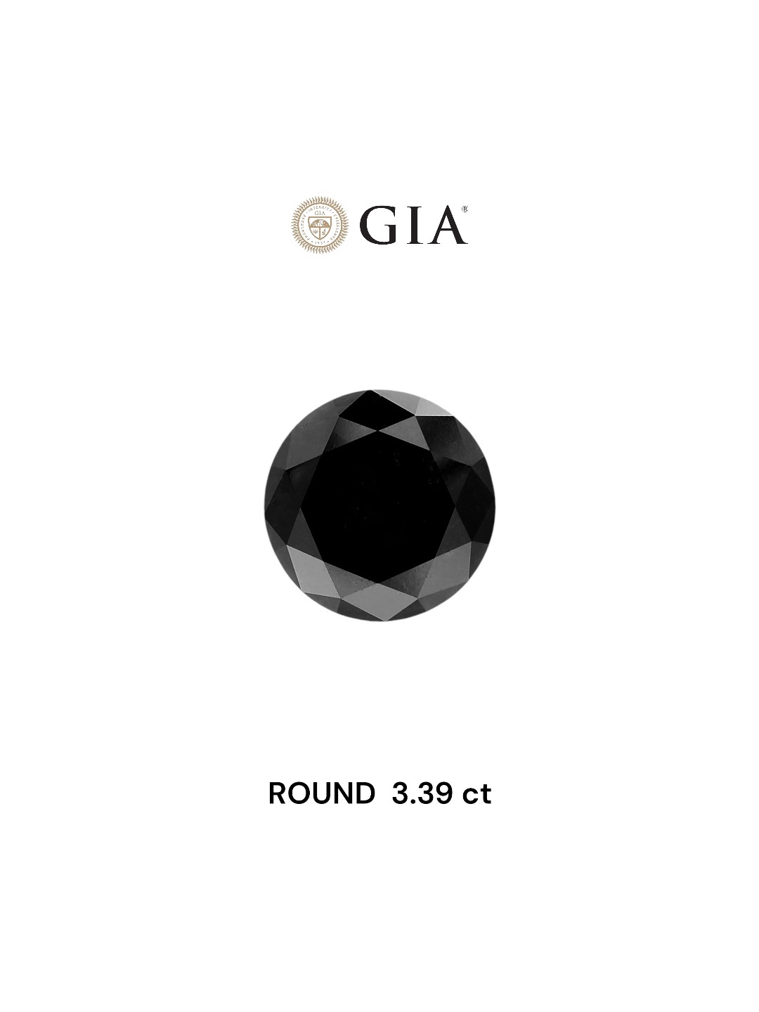 GIA 3.39 Carat Natural Fancy Black Round Diamond SE-6750GN