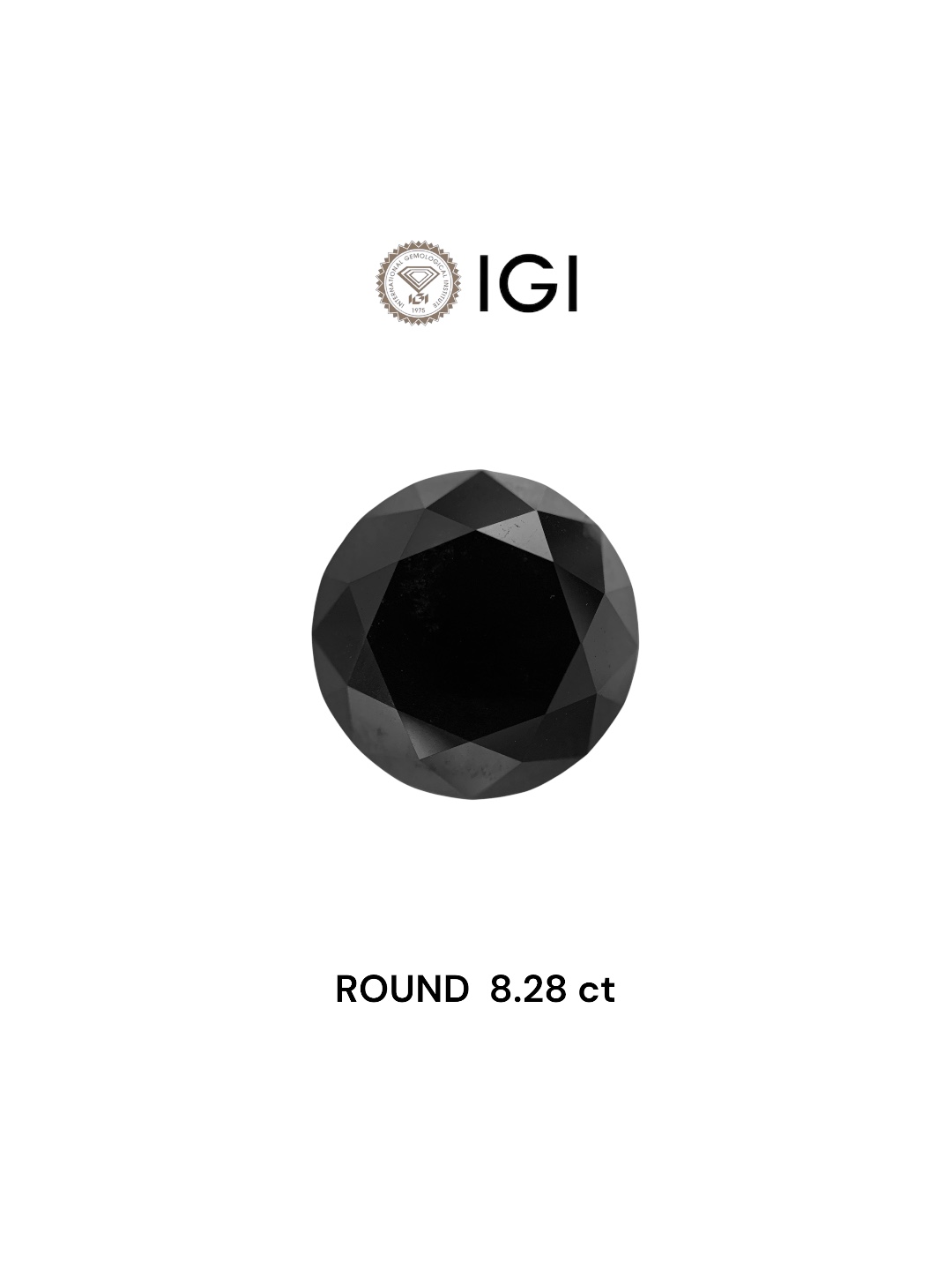 IGI 8.28 Carat Natural Fancy Black Round Diamond SE-6773IN