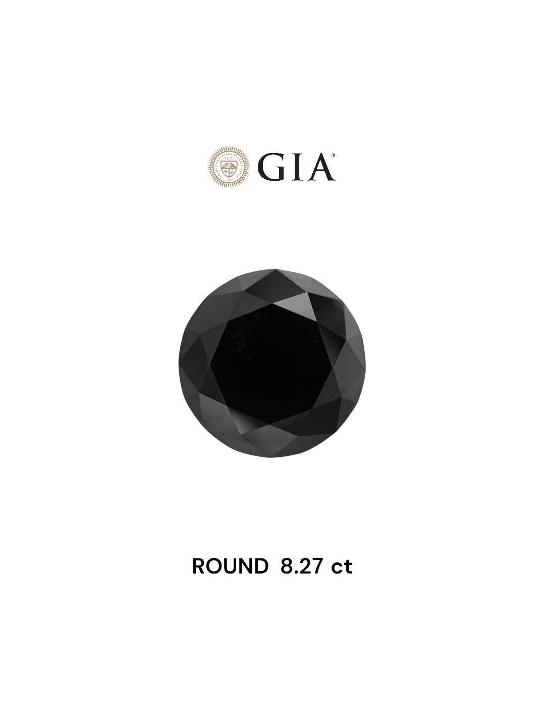 GIA 8.27 Carat Natural Fancy Black Round Diamond SE-6773INGT