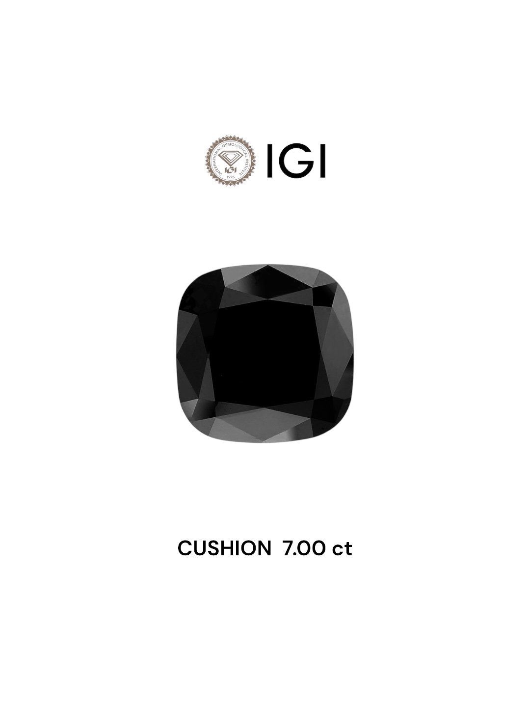 IGI 7.00 Carat Natural Fancy Black Cushion Diamond SE-6780IN