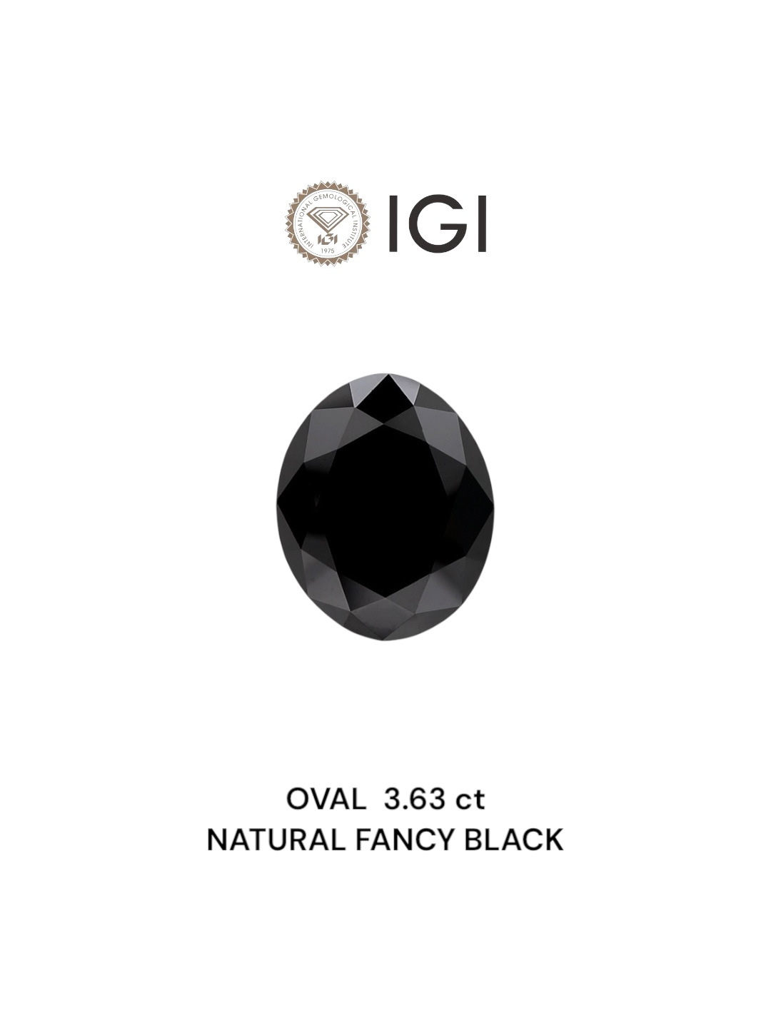 IGI 3.63 Carat Natural Fancy Black Oval Diamond SE-6781IN