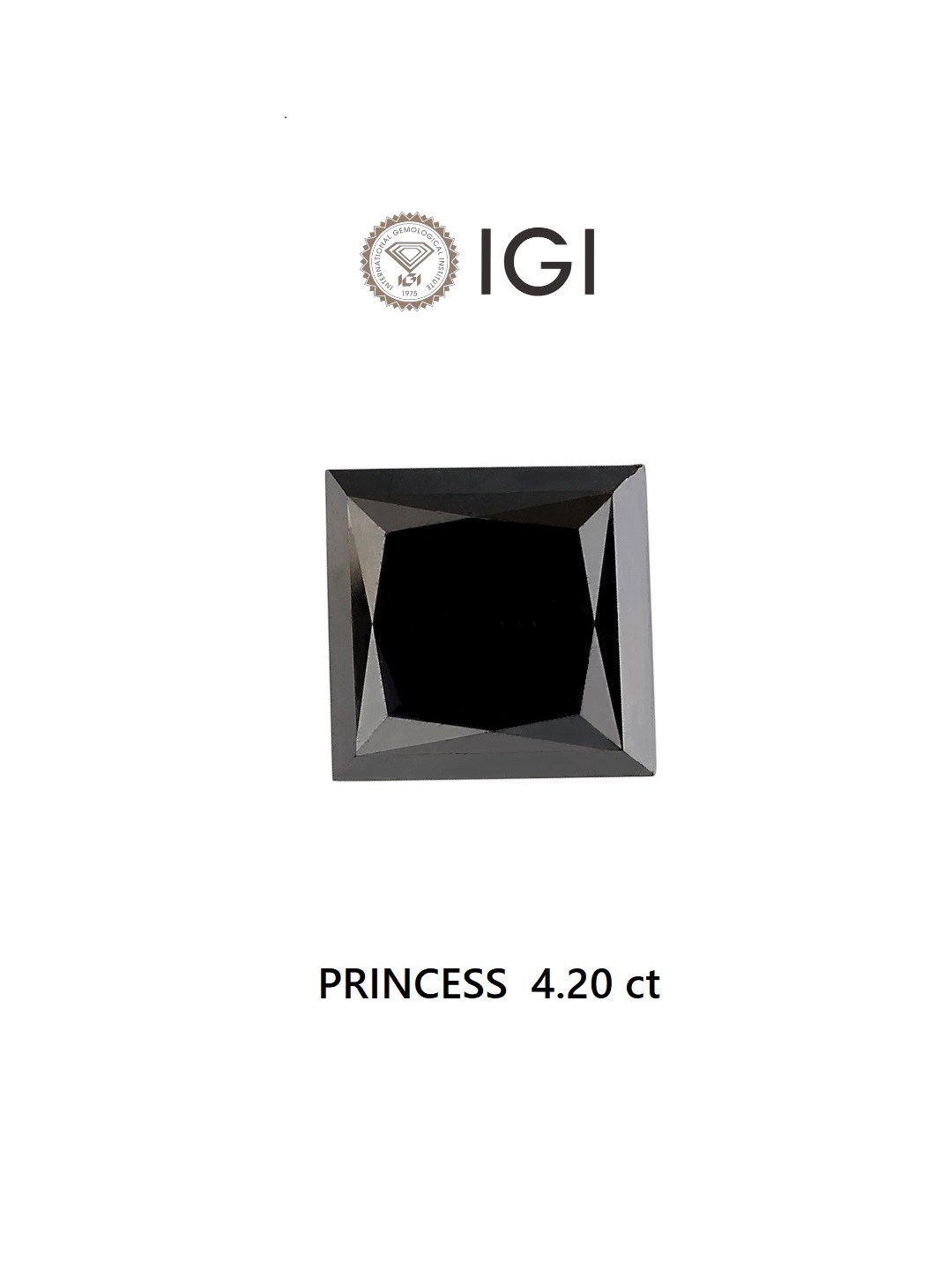 IGI 4.20 Carat Natural Fancy Black Princess Diamond SE-6794TTI