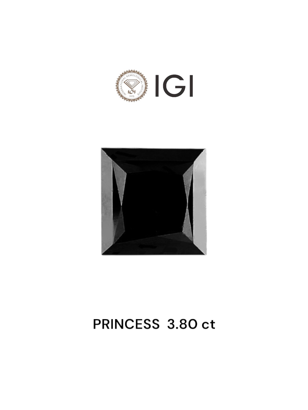IGI 3.80 Carat Natural Fancy Black Princess Diamond SE-6795TTI