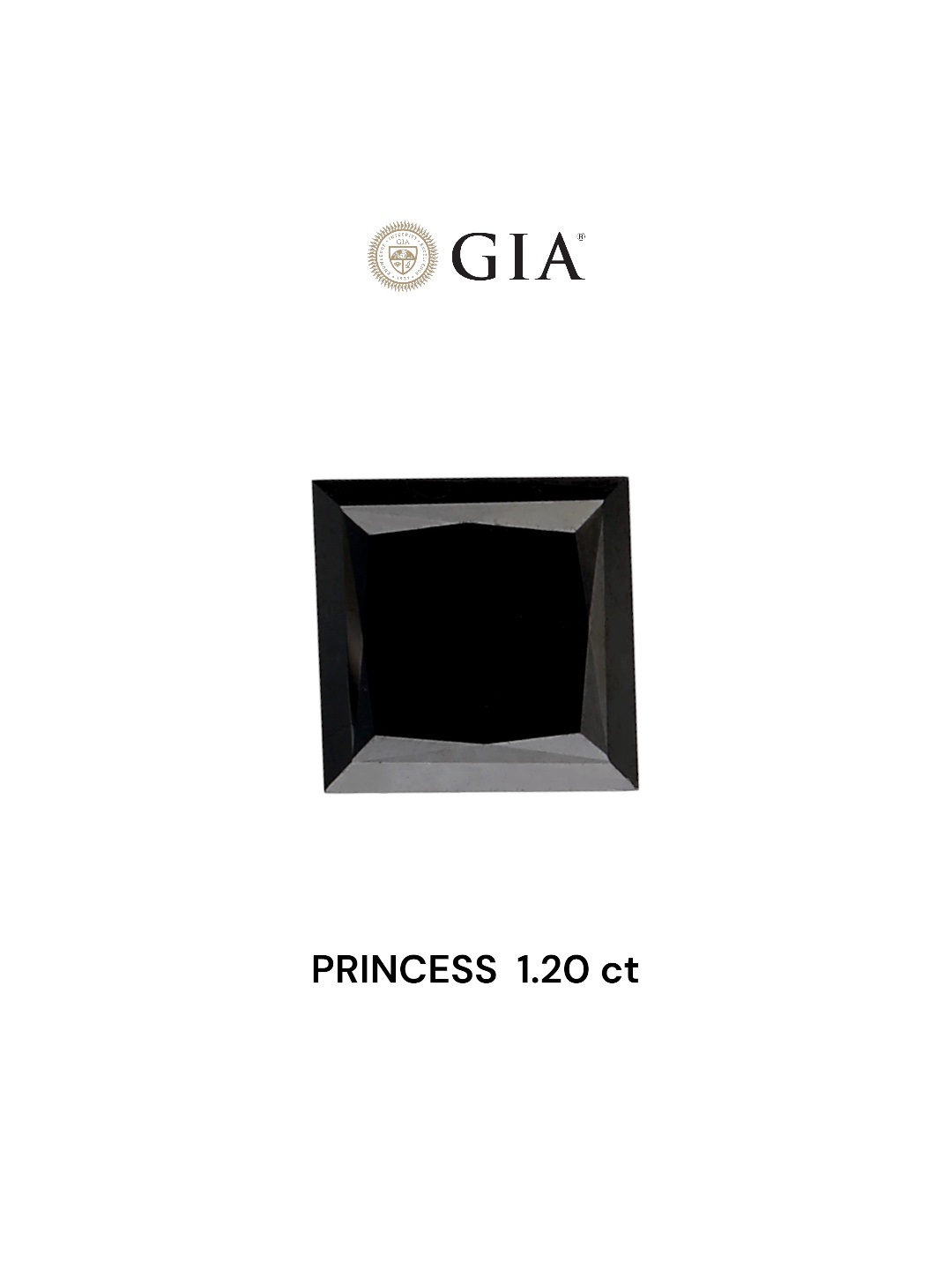GIA 1.20 Carat Natural Fancy Black Princess Diamond SE-6808TG