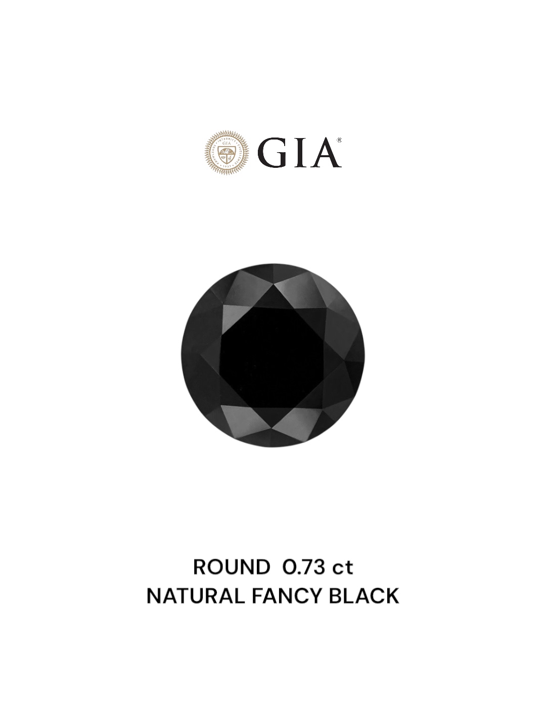 GIA 0.73 Carat Natural Fancy Black Round Diamond SE-6825GN