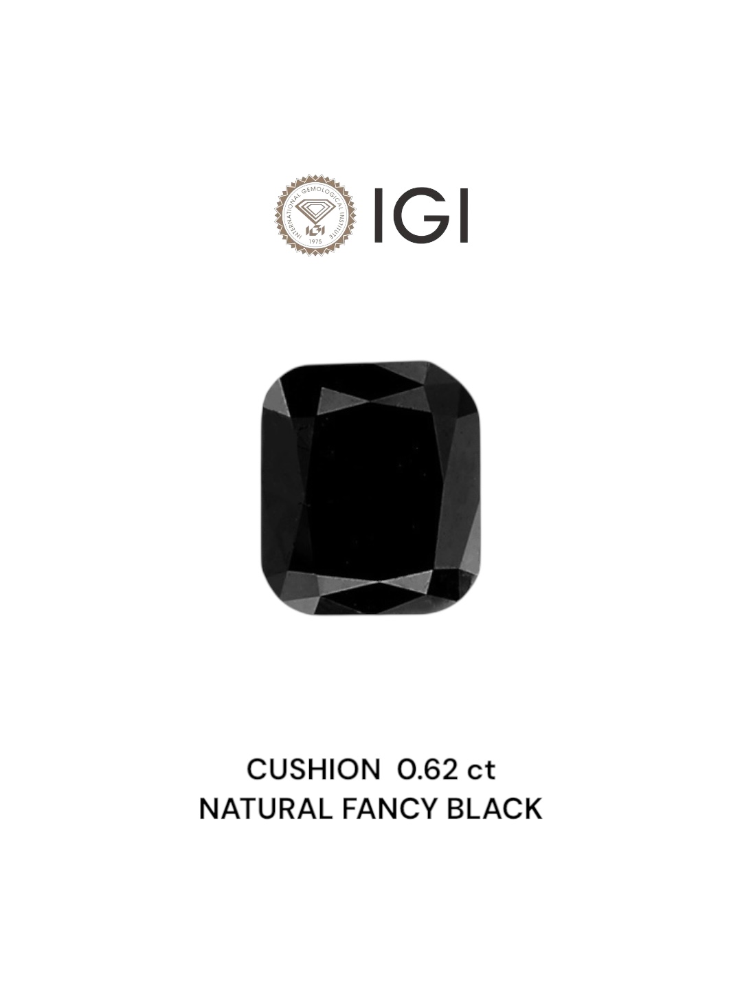 IGI 0.62 Carat Natural Fancy Black Cushion Diamond SE-6828IN