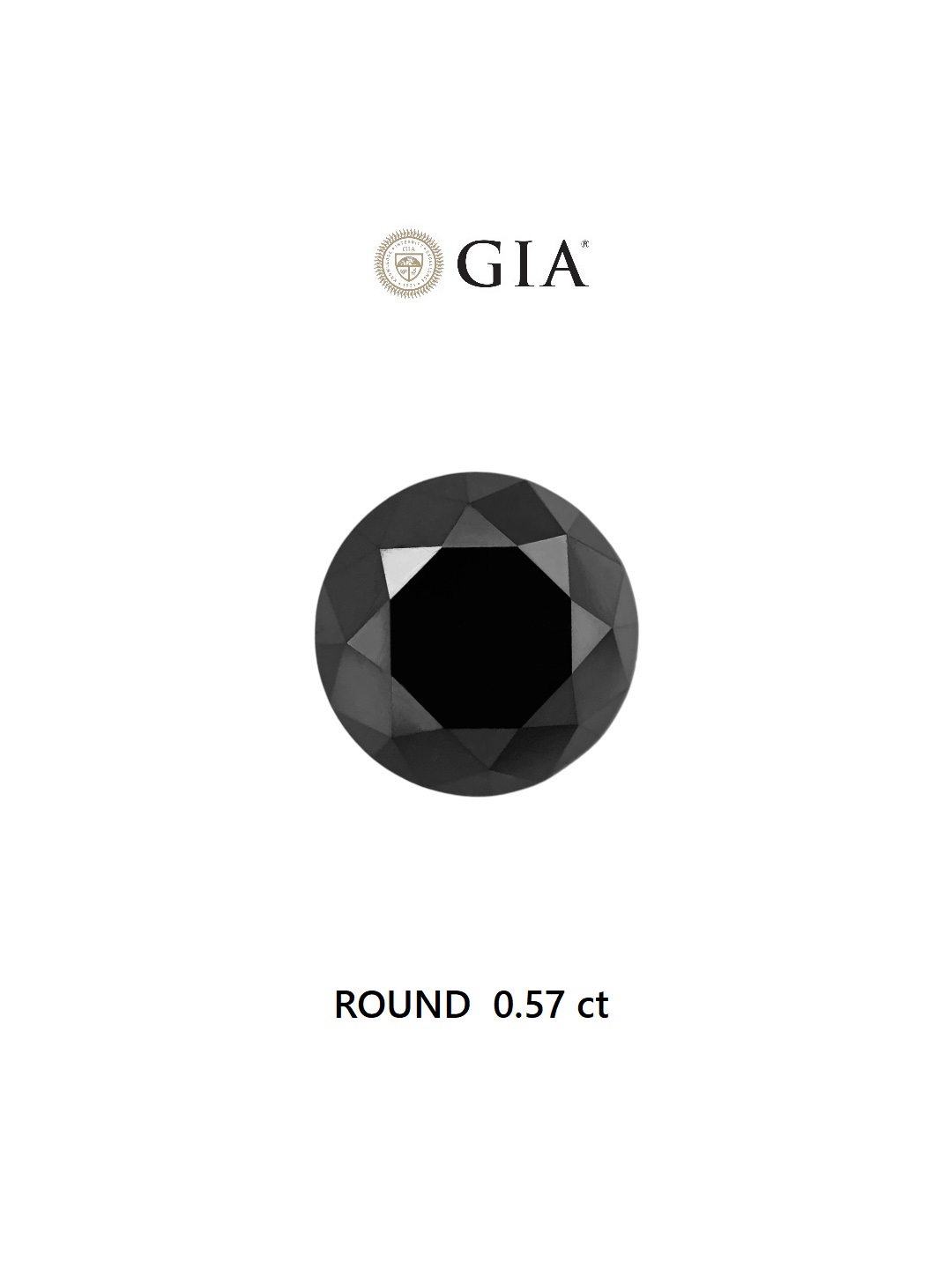 GIA 0.57 Carat Natural Fancy Black Round Diamond SE-6833GN