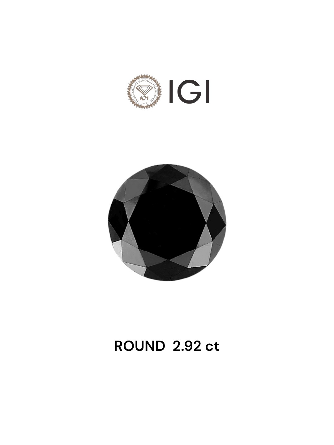 IGI 2.92 Carat Natural Fancy Black Round Diamond SE-6851TTI