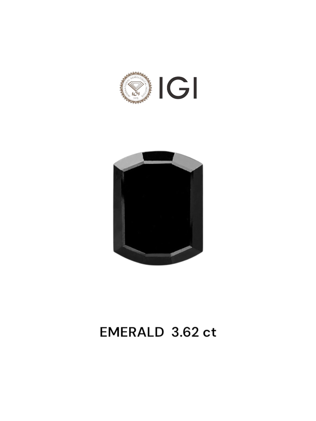 IGI 3.62 Carat Natural Fancy Black Radiant Diamond SE-6854TTI