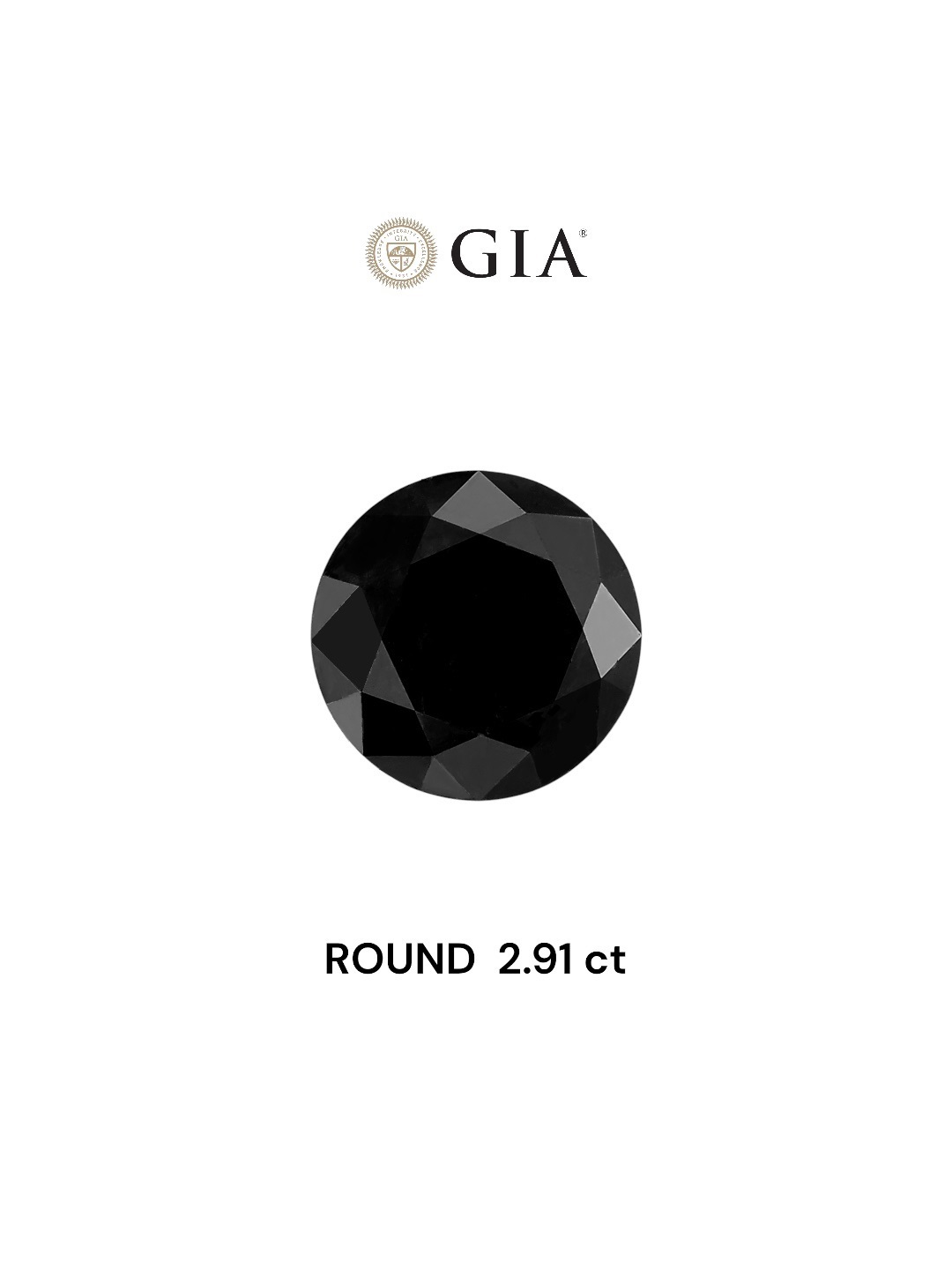 GIA 2.91 Carat Natural Fancy Brown Round Diamond SE-6872GN