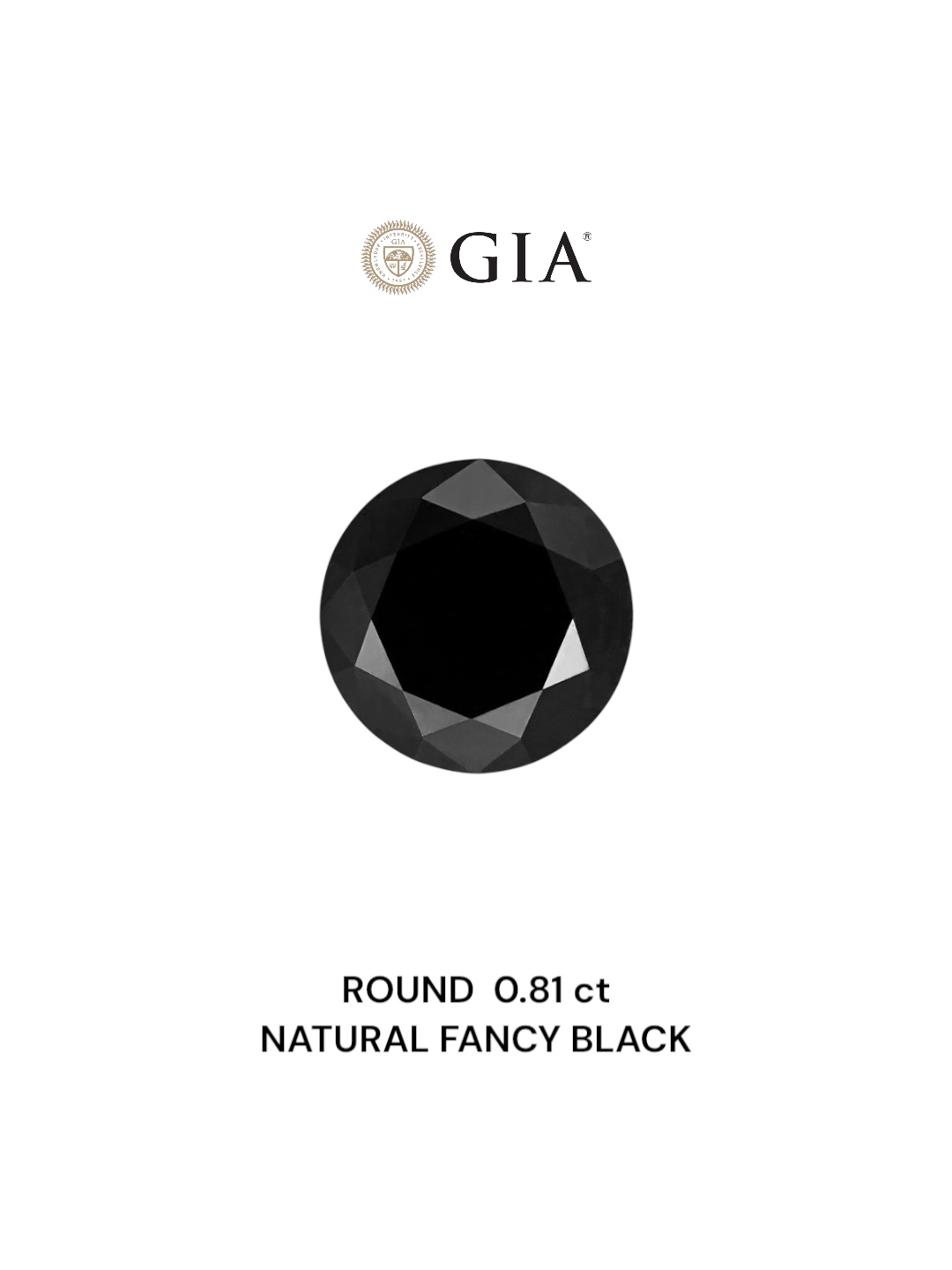 GIA 0.81 Carat Natural Fancy Black Round Diamond SE-6884GN