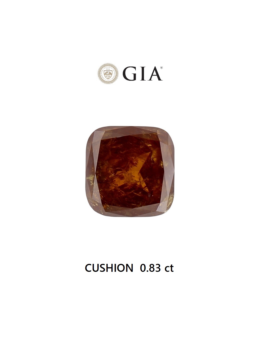 GIA 0.83 Carat Natural Fancy Brown Cushion Diamond SE-6904GN
