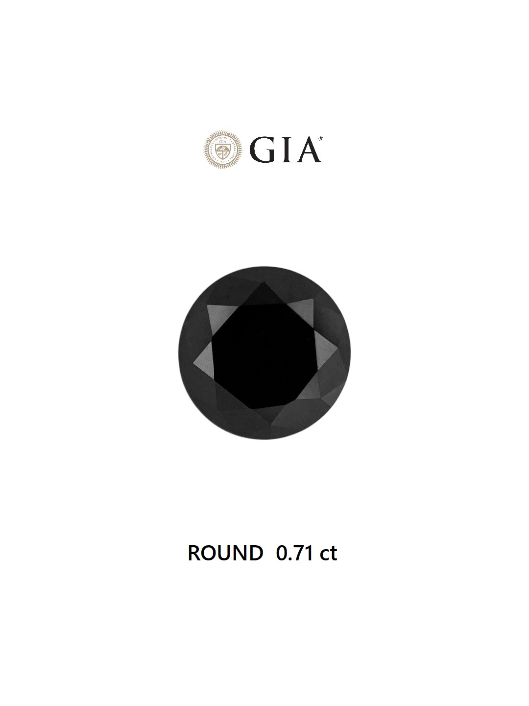 GIA 0.71 Carat Natural Fancy Black Round Diamond SE-7008GN