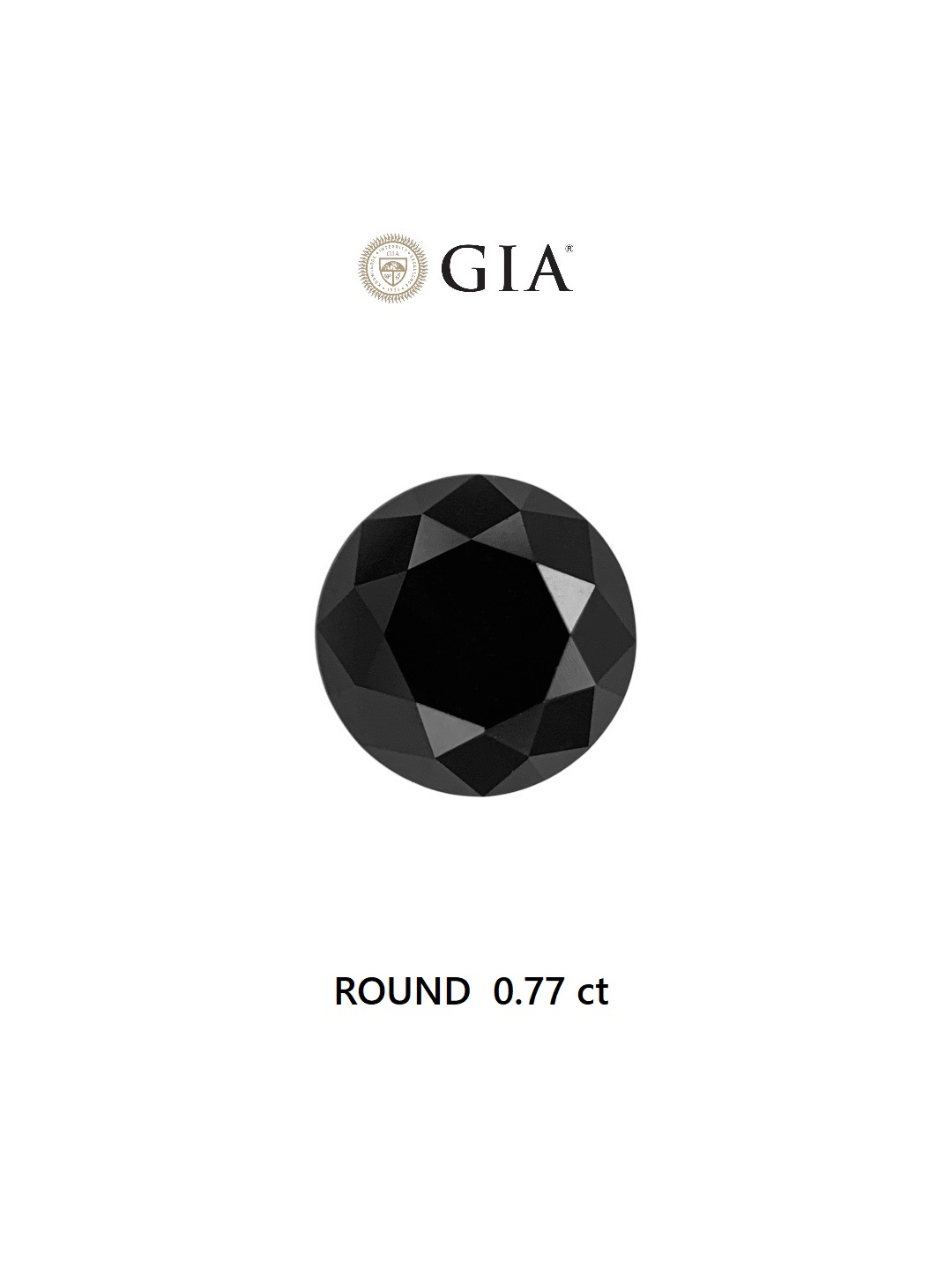 GIA 0.77 Carat Natural Fancy Black Round Diamond SE-7009GN