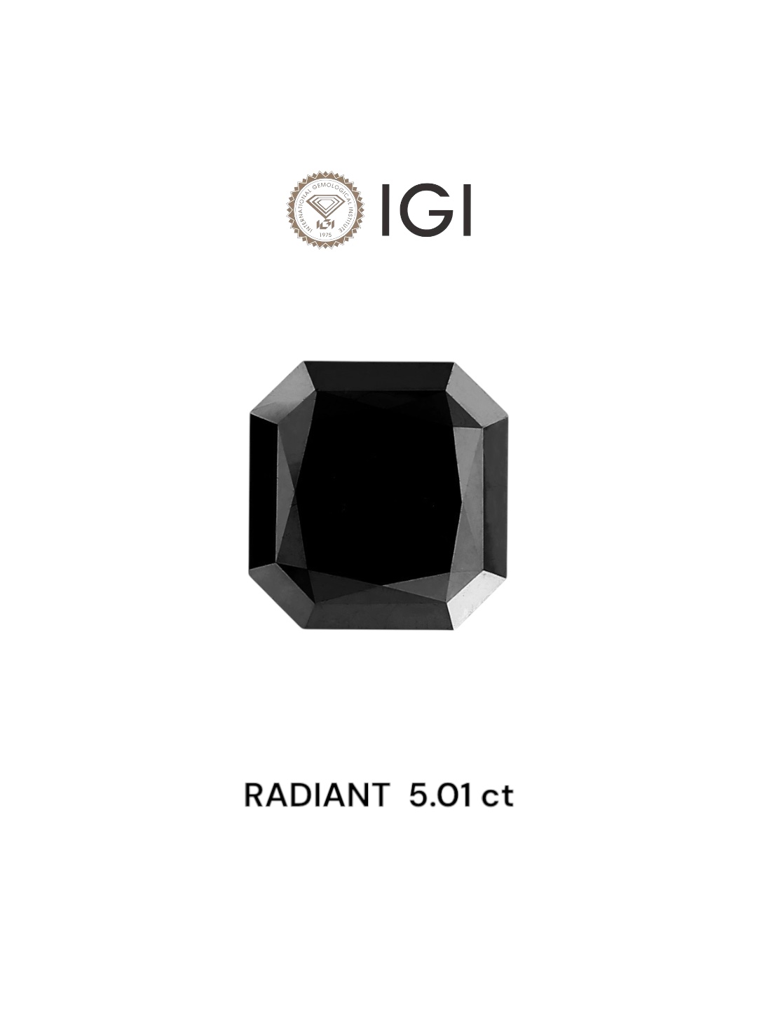 IGI 5.01 Carat Natural Fancy Black Radiant Diamond SE-7039TTI