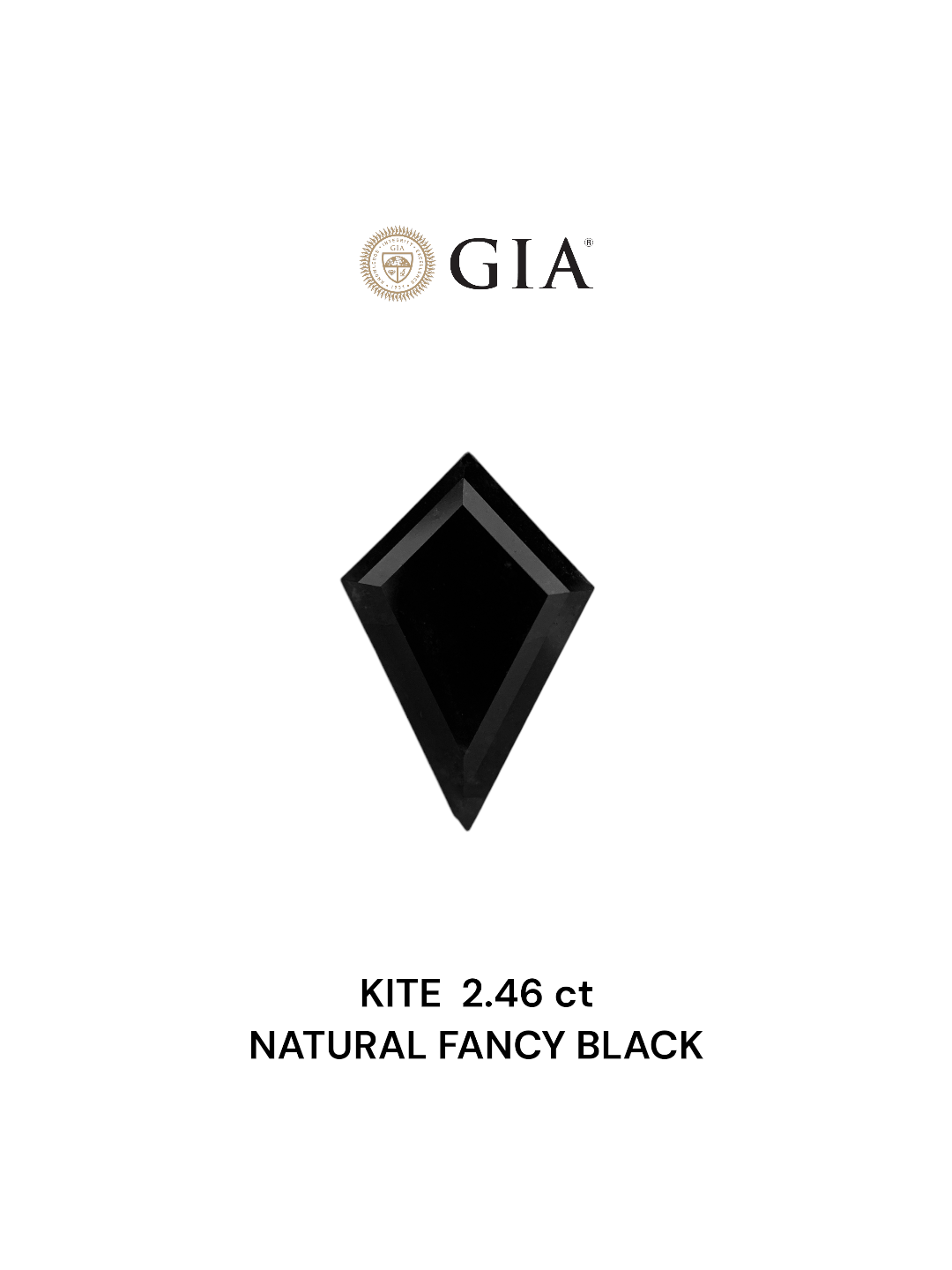 GIA 2.46 Carat Natural Fancy Black Kite Diamond SE-7098GN