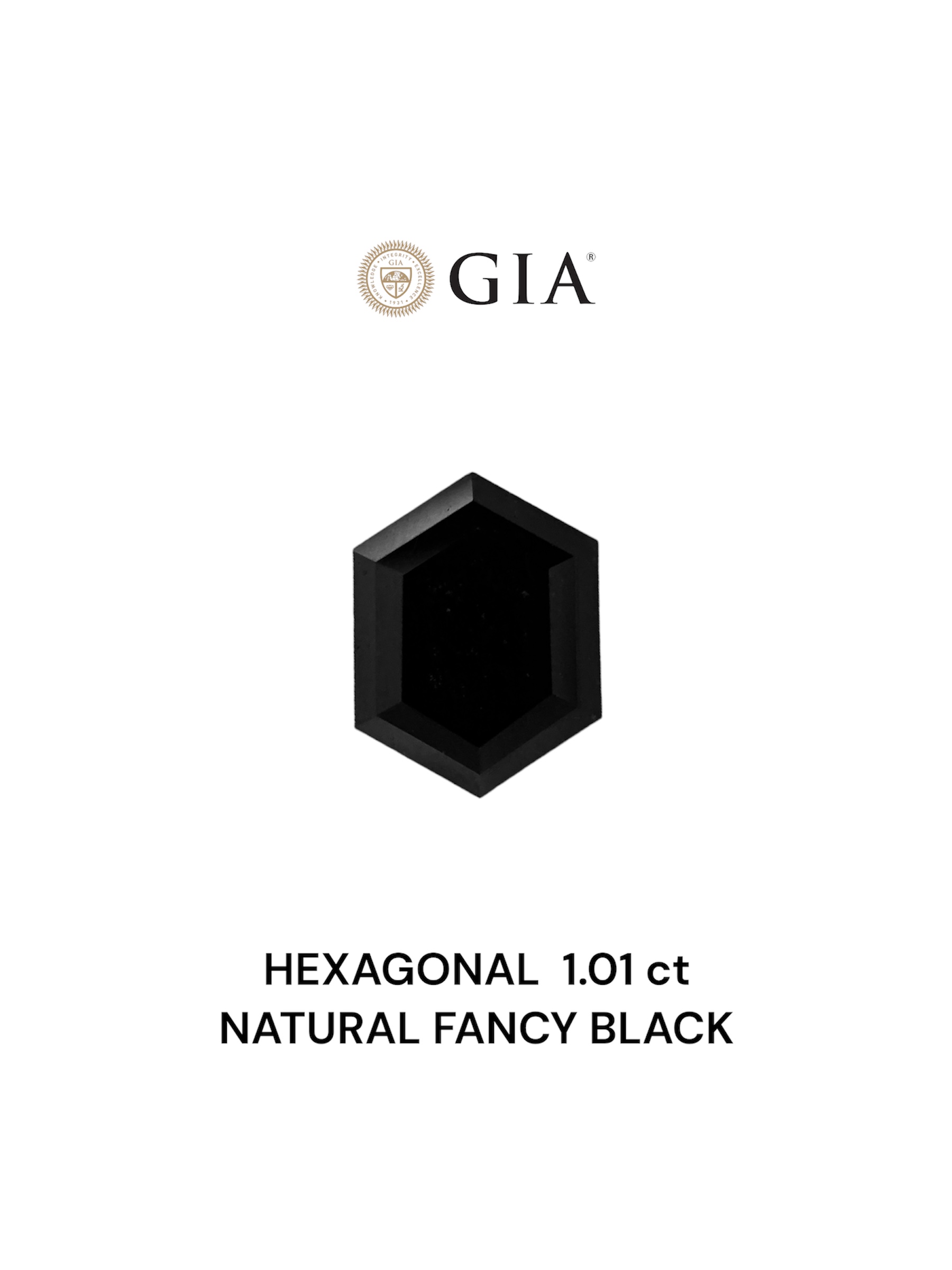 GIA 1.01 Carat Natural Fancy Black Hexagonal Diamond SE-7119GN