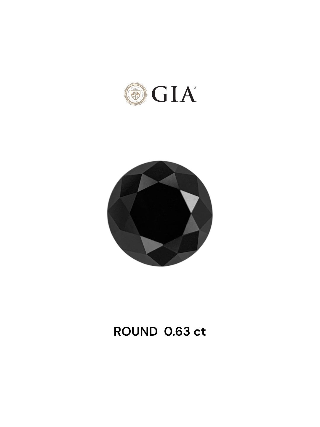 GIA 0.63 Carat Natural Fancy Black Round Diamond SE-7122GN