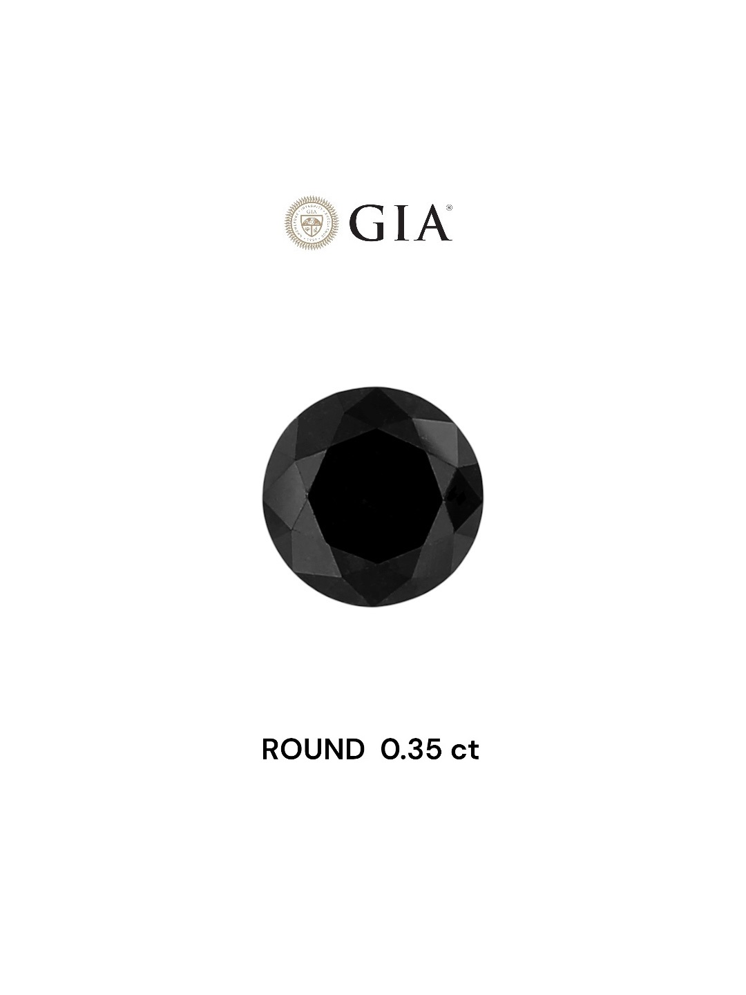 GIA 0.35 Carat Natural Fancy Black Round Diamond SE-7169GN