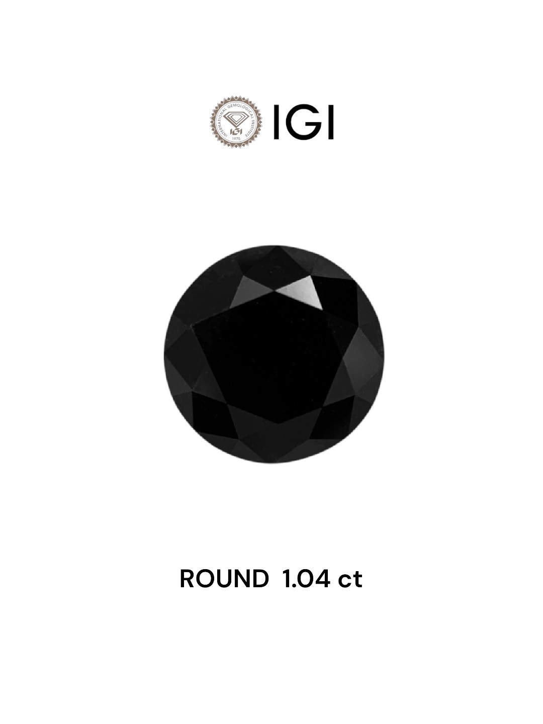 IGI 1.04 Carat Natural Fancy Black Round Diamond SE-7217IN