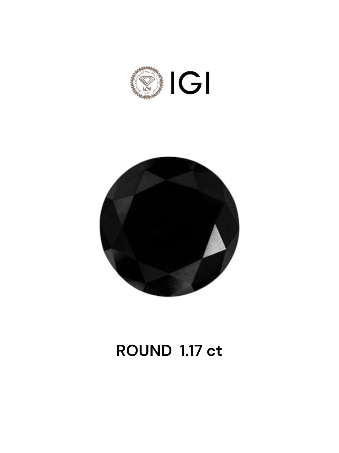 IGI 1.17 Carat Natural Fancy Black Round Diamond SE-7236IN