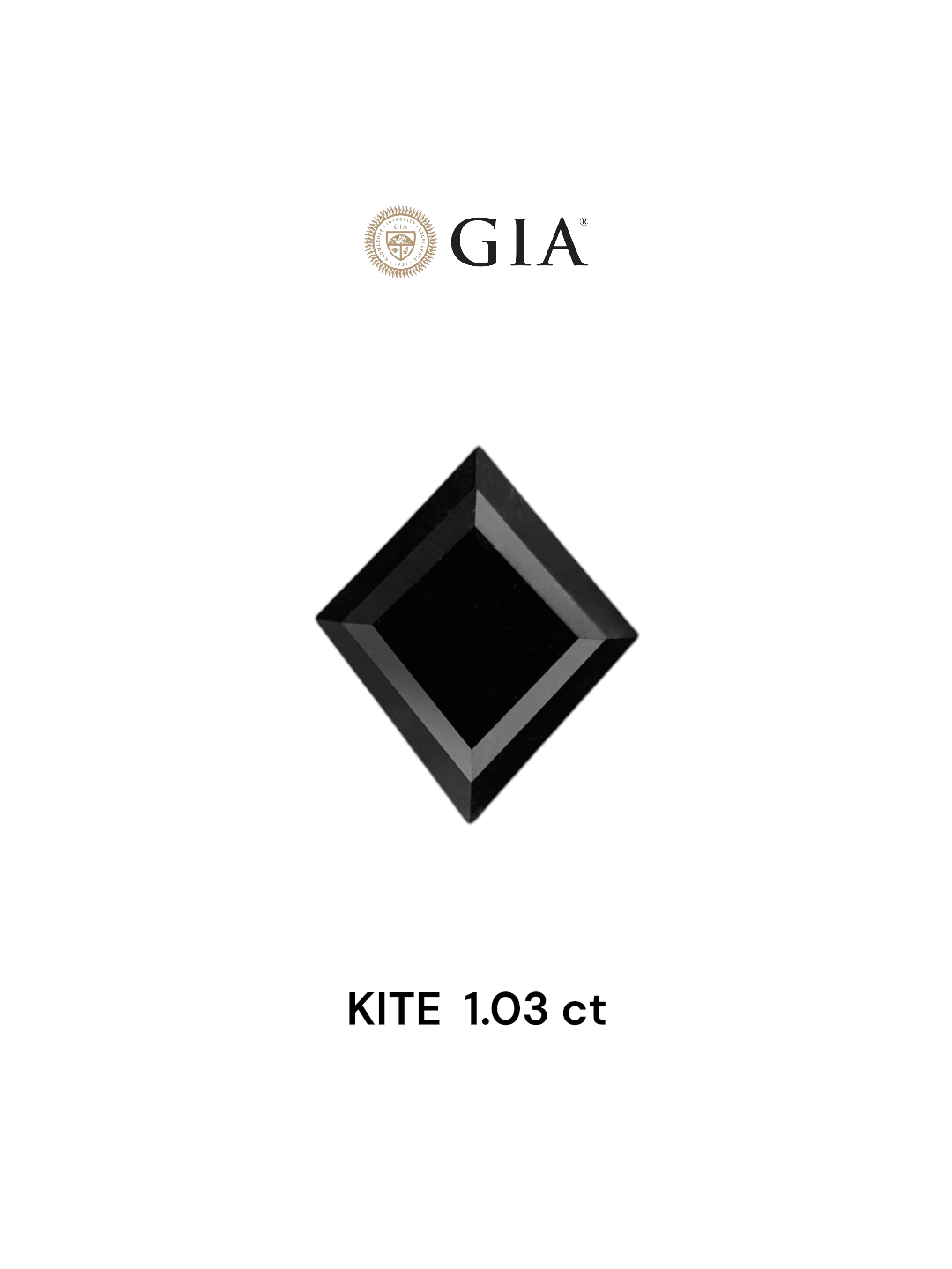 GIA 1.03 Carat Natural Fancy Black Kite Diamond SE-7326GNA