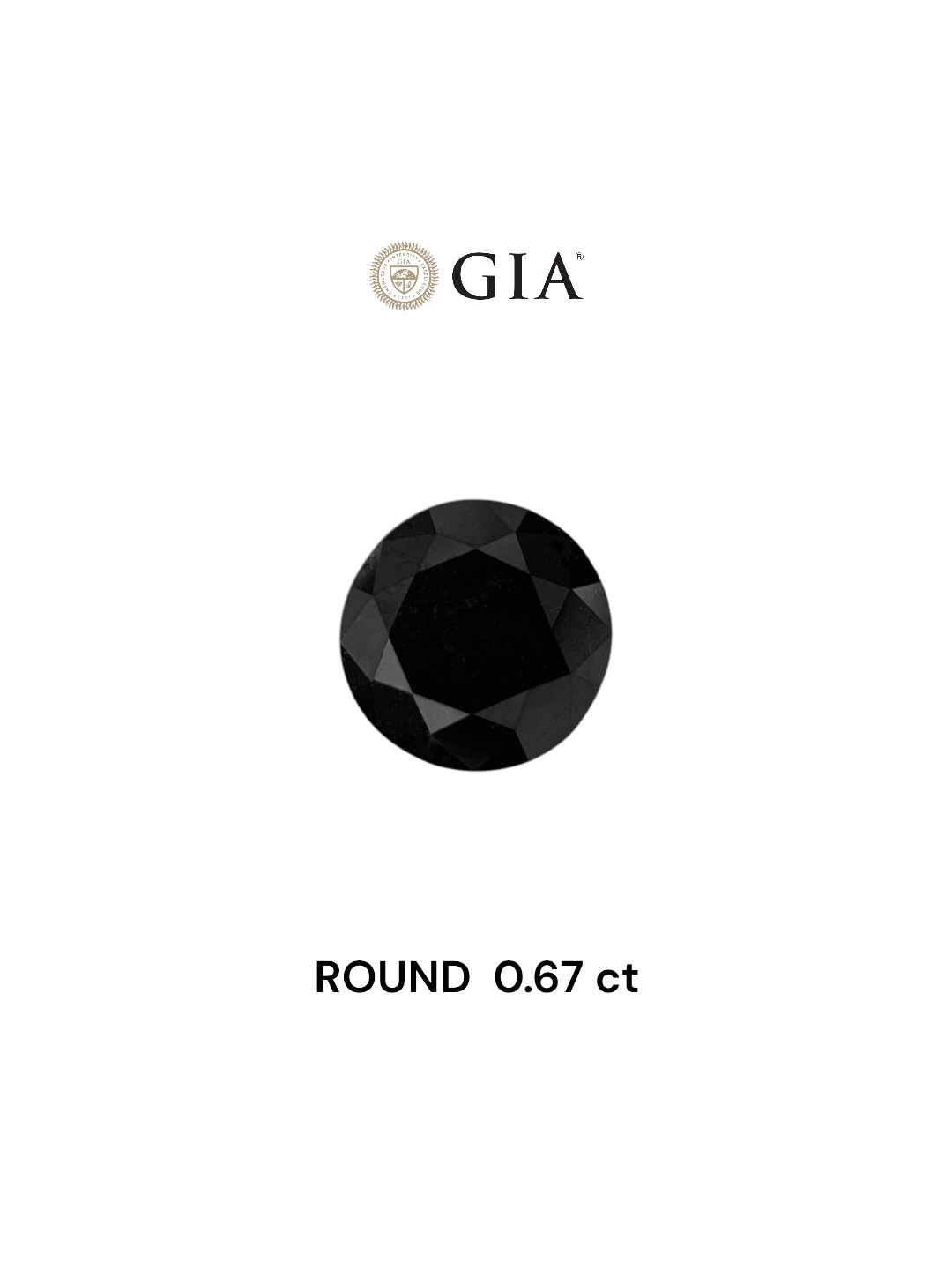 GIA 0.67 Carat Natural Fancy Black Round Diamond SE-7344GNA