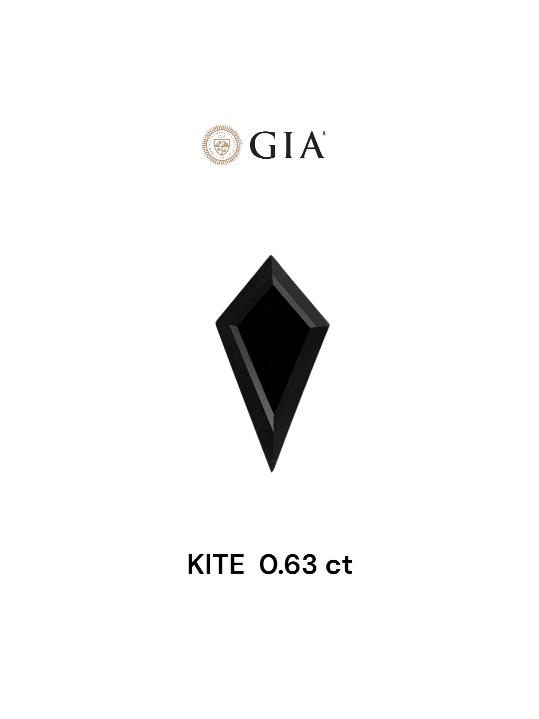 GIA 0.63 Carat Natural Fancy Black Kite Diamond SE-7346GNA