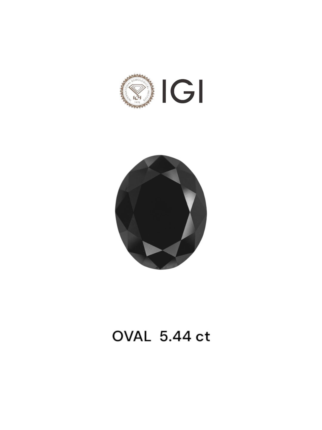 IGI 5.44 Carat Natural Fancy Black Oval Diamond SE-7397TTI