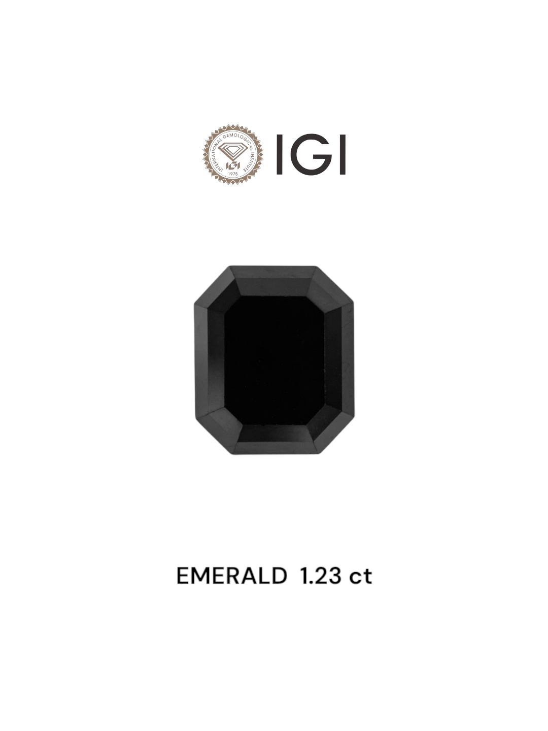 IGI 1.23 Carat Natural Fancy Black Emerald Diamond SE-7423TTI