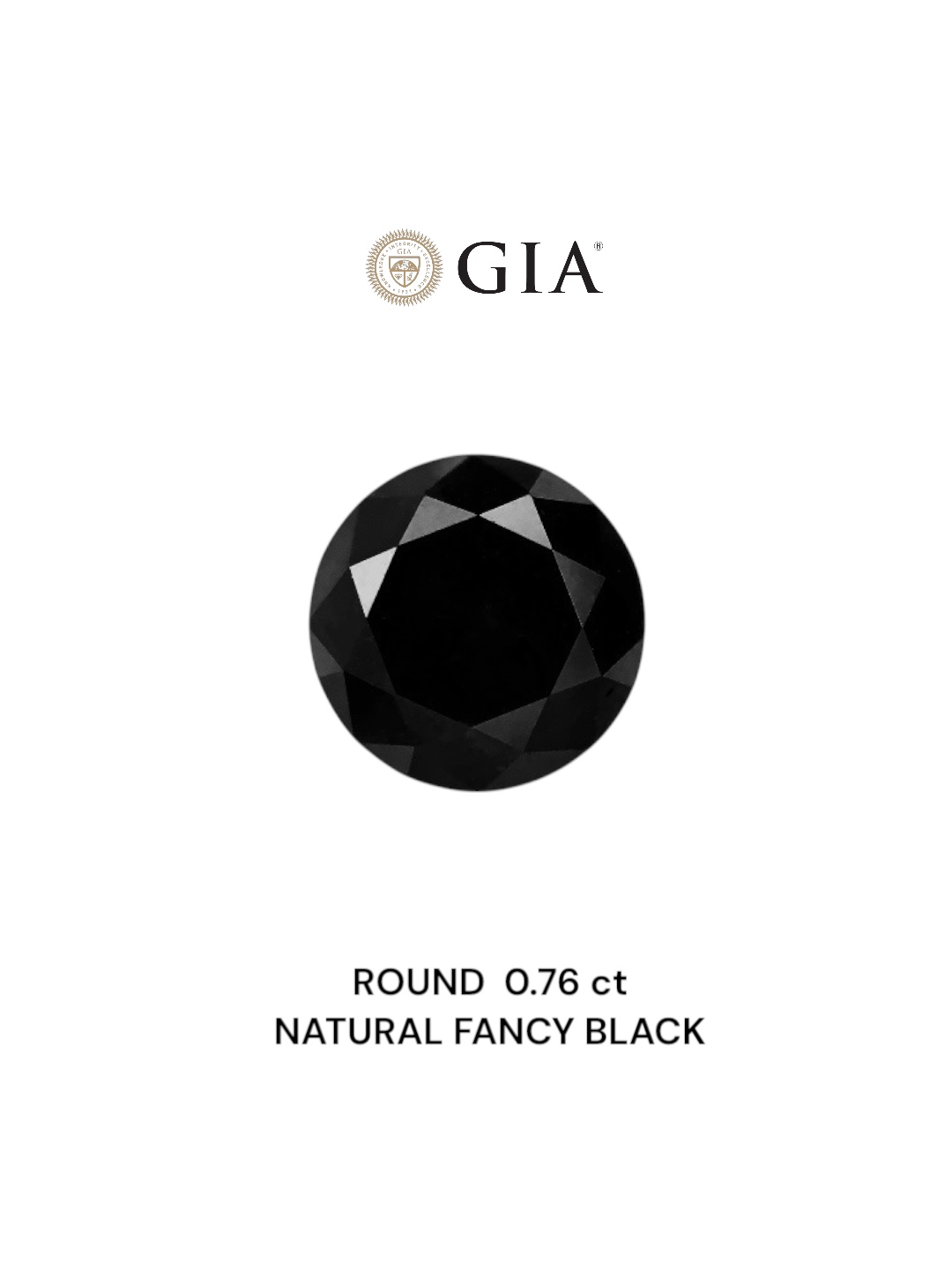 GIA 0.76 Carat Natural Fancy Black Round Diamond SE-7456GN