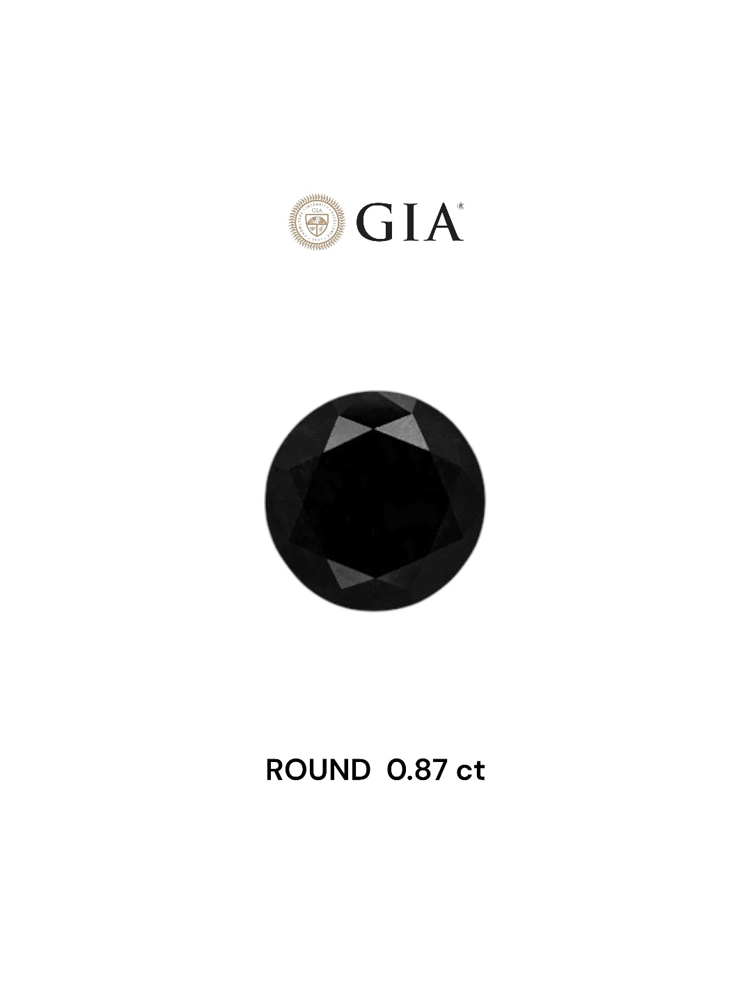 GIA 0.87 Carat Natural Fancy Black Round Diamond SE-7457GN