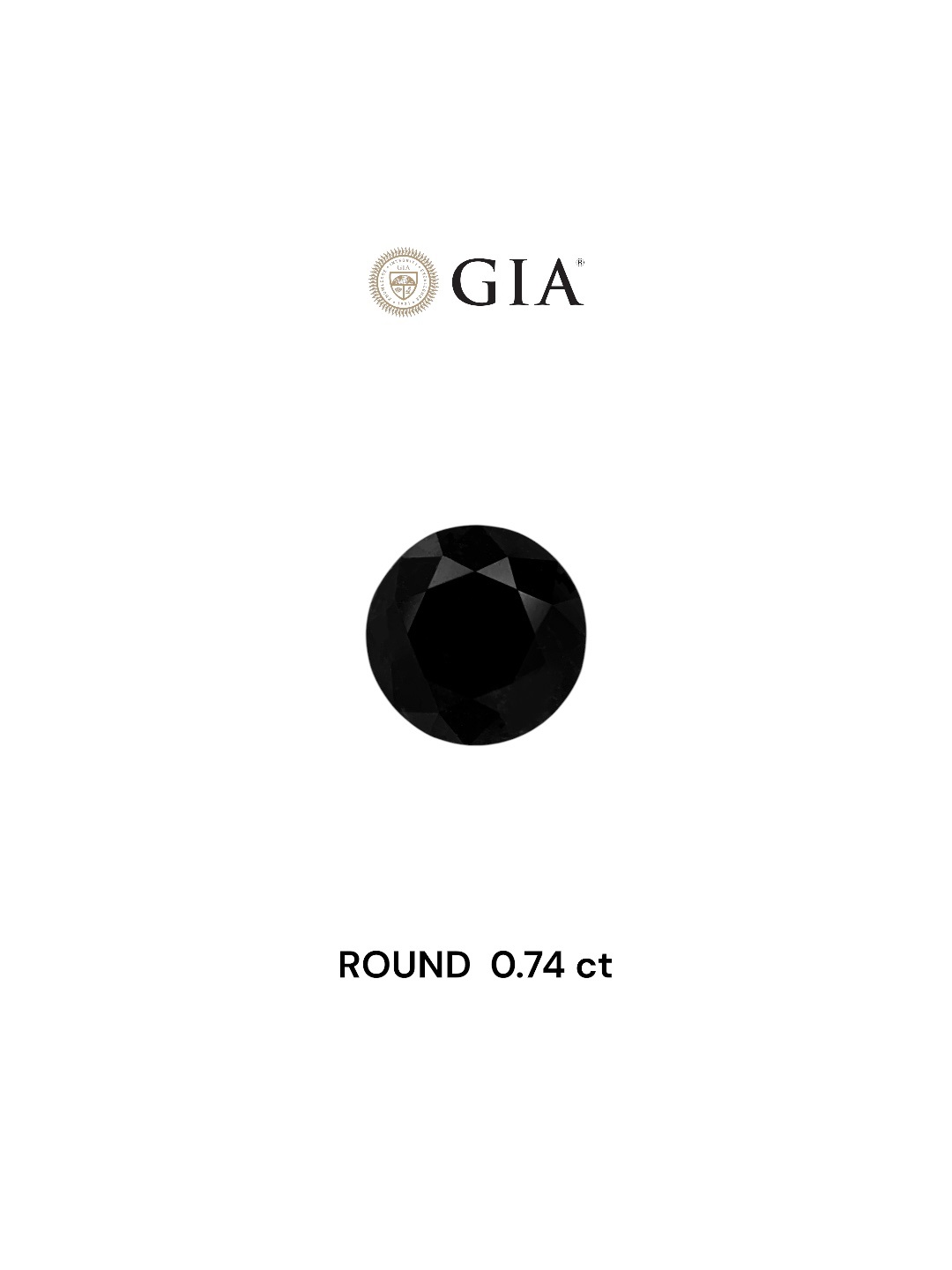 GIA 0.74 Carat Natural Fancy Black Round Diamond SE-7458GN