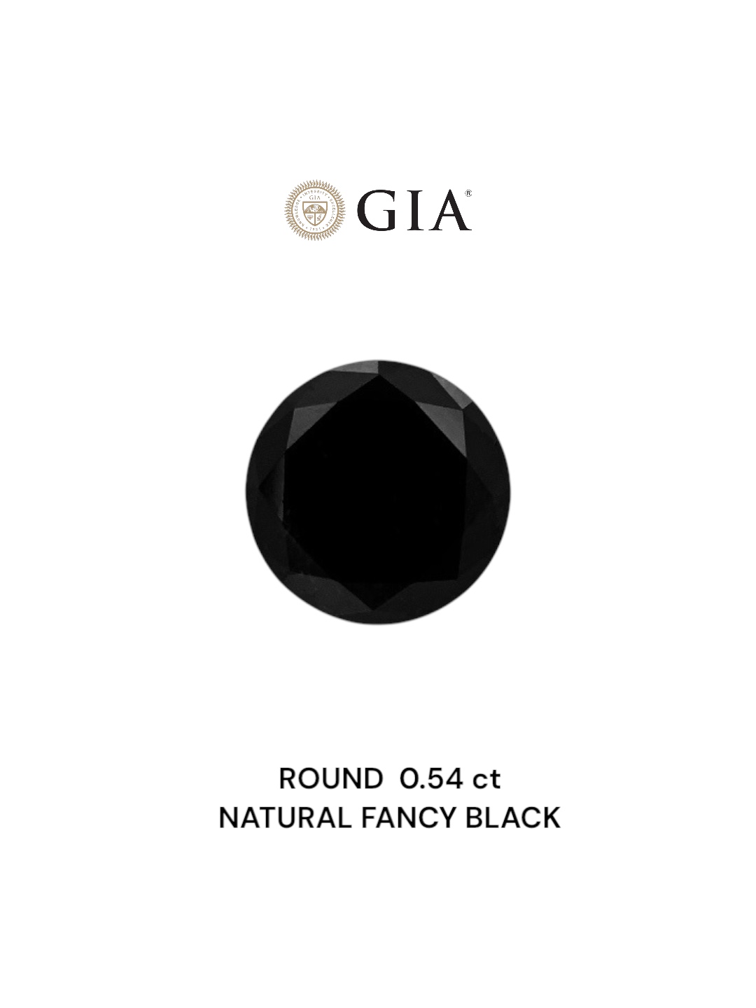 GIA 0.54 Carat Natural Fancy Black Round Diamond SE-7471GN