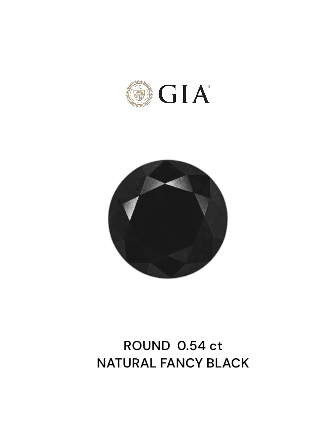 GIA 0.54 Carat Natural Fancy Black Round Diamond SE-7476GN