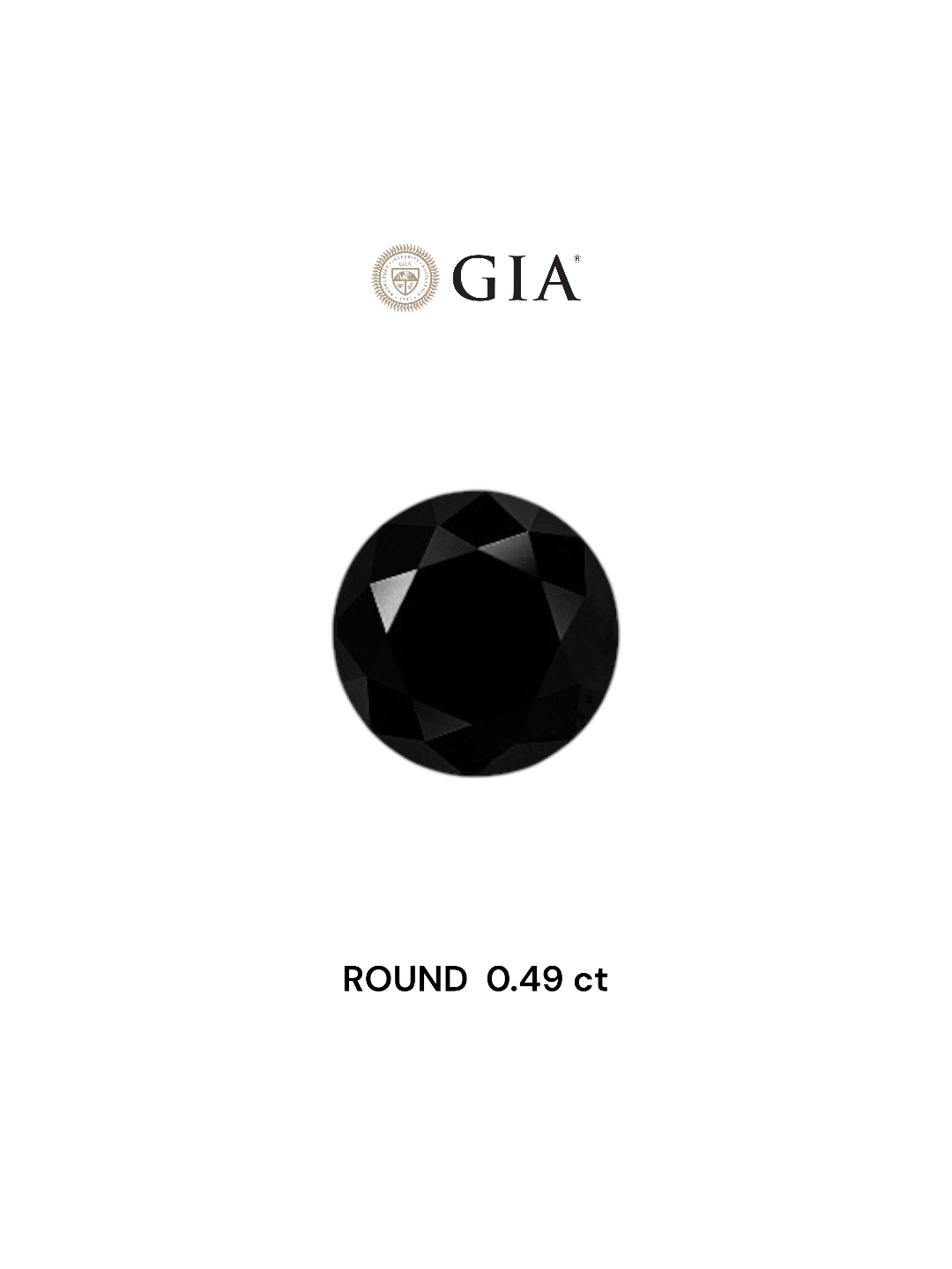 GIA 0.49 Carat Natural Fancy Black Round Diamond SE-7489GN