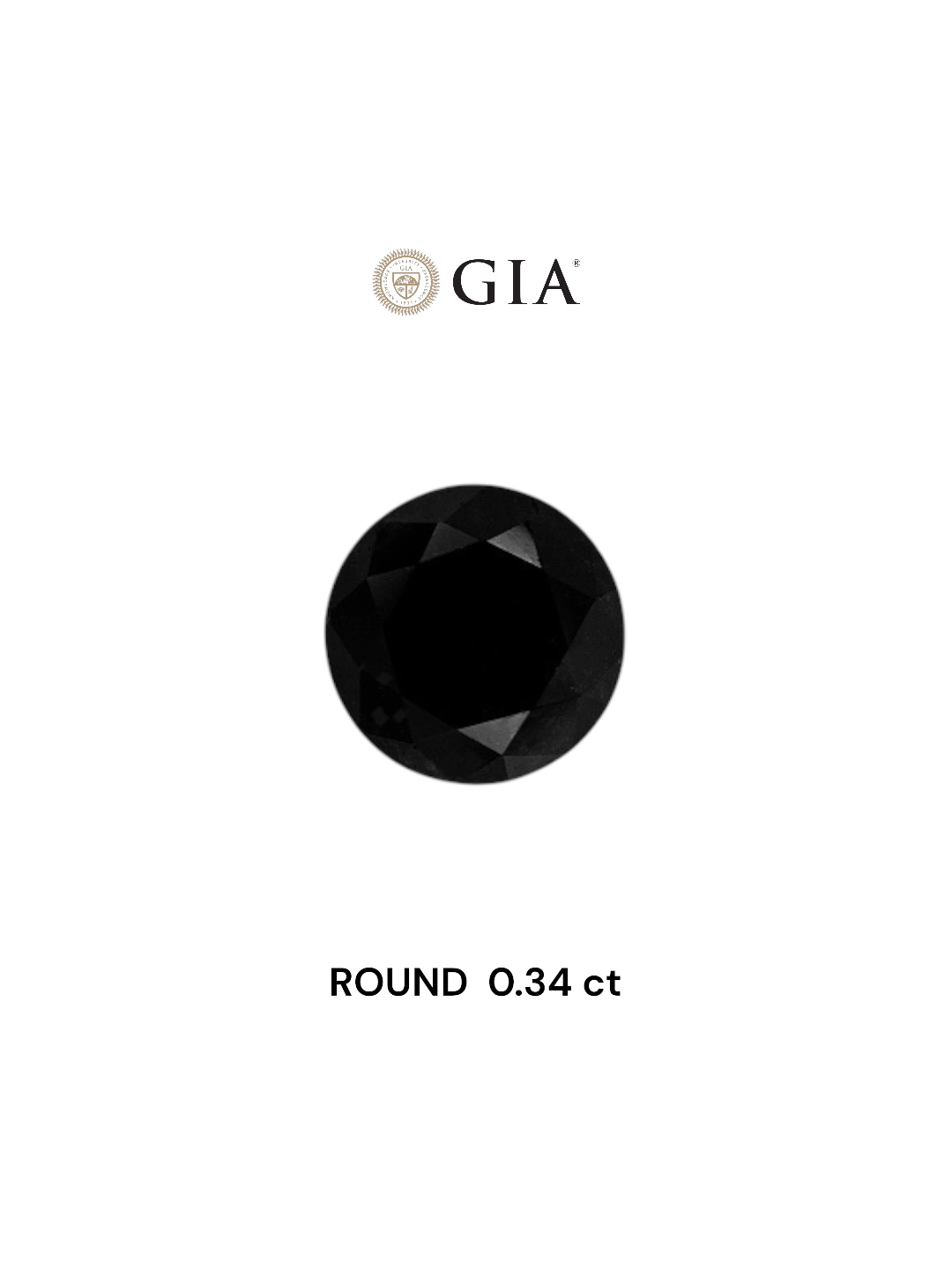 GIA 0.34 Carat Natural Fancy Black Round Diamond SE-7496GN