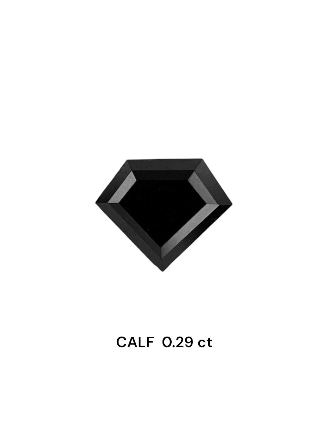 0.29 Carat Natural Fancy Black Calf Diamond SE-7564TA