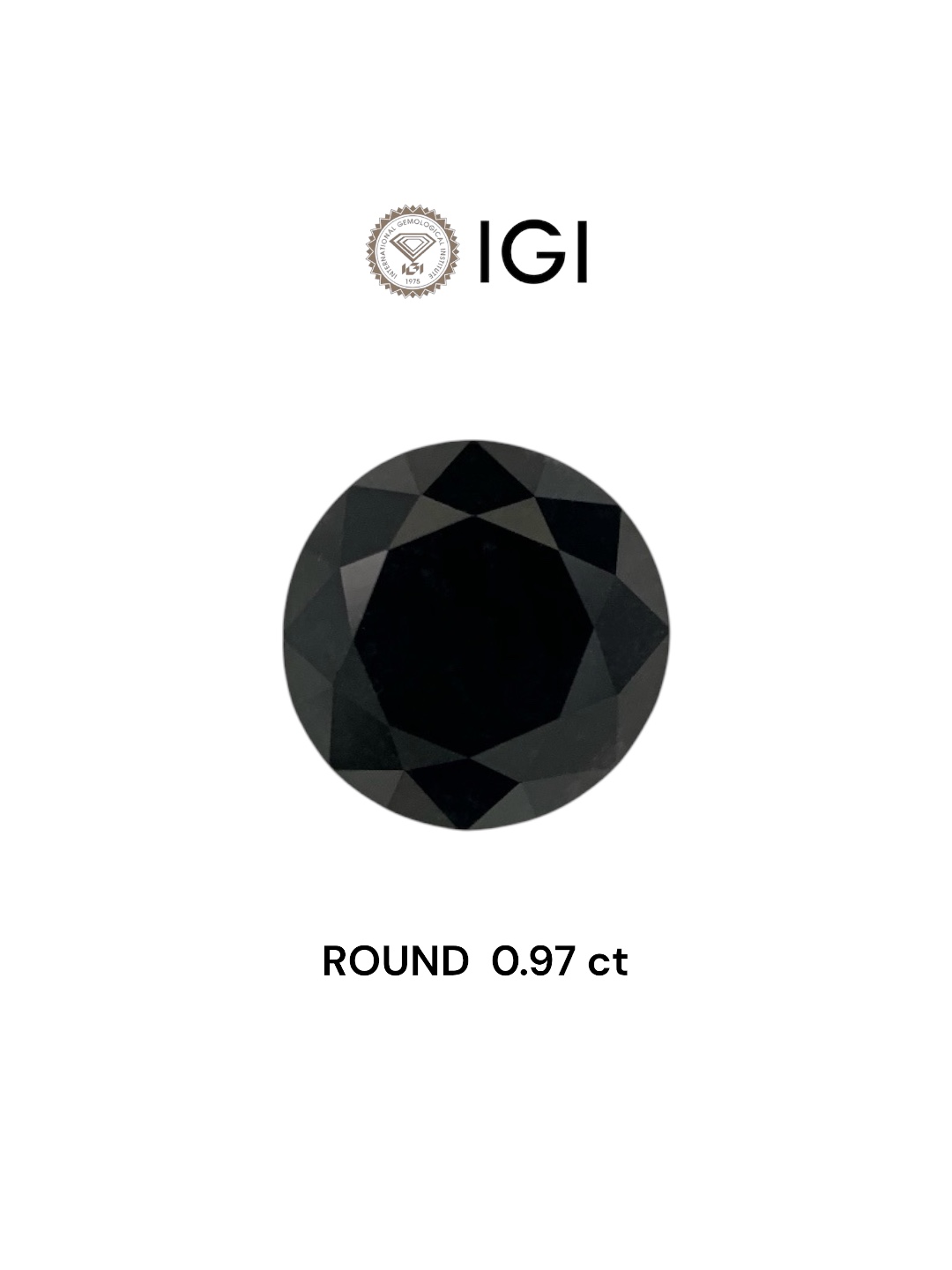 IGI 0.97 Carat Natural Fancy Black Round Diamond SE-7608IN